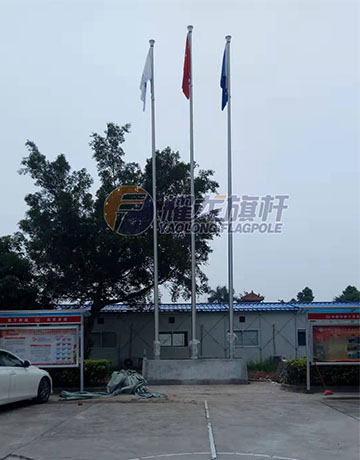 广东佛山企业蜜桃视频在线免费观看