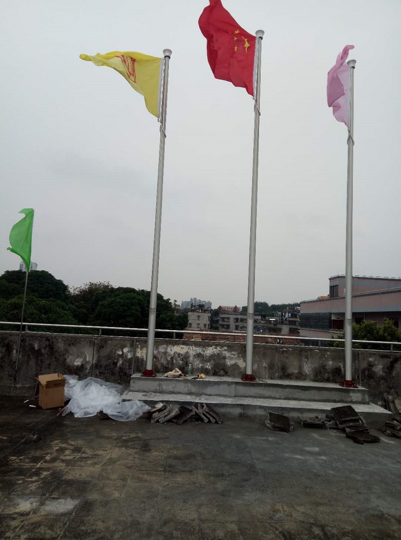 佛山救助站蜜桃视频在线免费观看