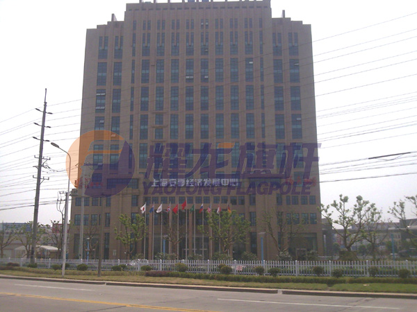 上海安亭经济发展中心蜜桃视频在线免费观看